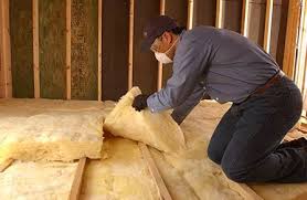 Best Attic Insulation Installation  in Panaca, NV